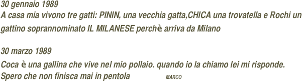 30 gennaio 1989
A casa mia vivono tre gatti: PININ, una vecchia gatta,CHICA una trovatella e Rochi un gattino soprannominato IL MILANESE perchè arriva da Milano

30 marzo 1989
Coca è una gallina che vive nel mio pollaio. quando io la chiamo lei mi risponde. Spero che non finisca mai in pentola                    MARCO