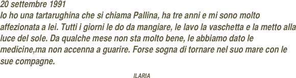20 settembre 1991
Io ho una tartarughina che si chiama Pallina, ha tre anni e mi sono molto affezionata a lei. Tutti i giorni le do da mangiare, le lavo la vaschetta e la metto alla luce del sole. Da qualche mese non sta molto bene, le abbiamo dato le medicine,ma non accenna a guarire. Forse sogna di tornare nel suo mare con le sue compagne.
                                                          ILARIA